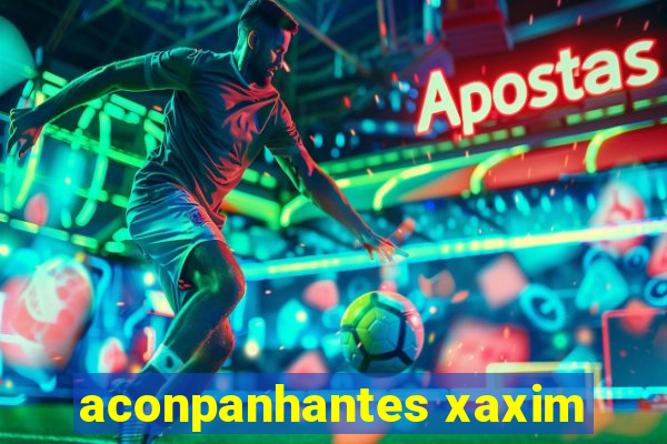 aconpanhantes xaxim